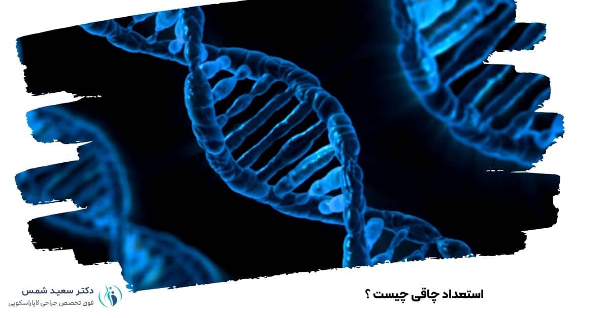 استعداد چاقی چیست ؟